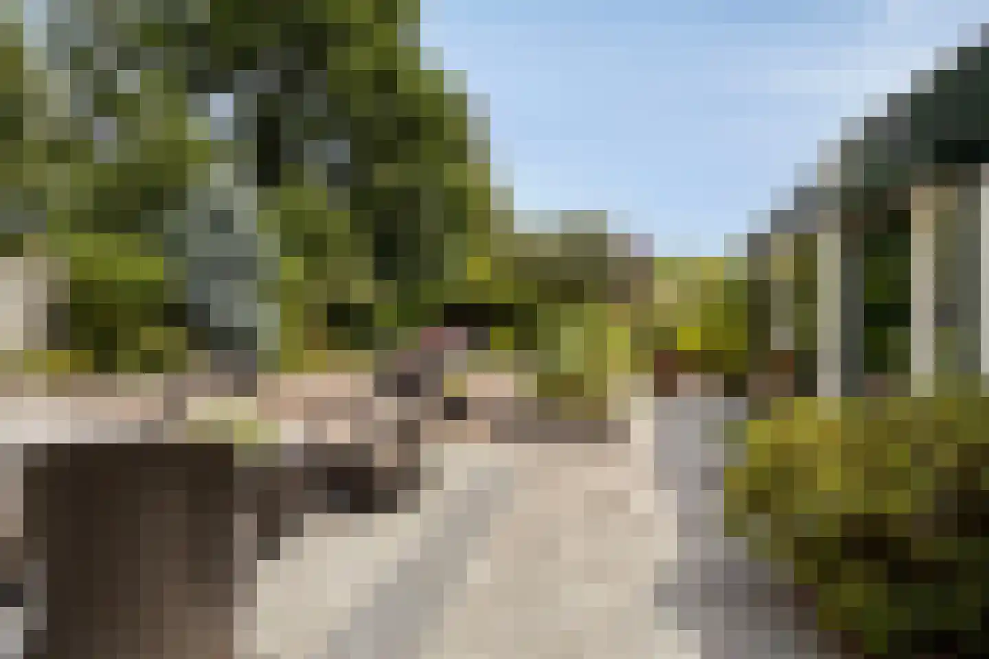 Kometenlaan 13 Bergen op Zoom thumbnail 4