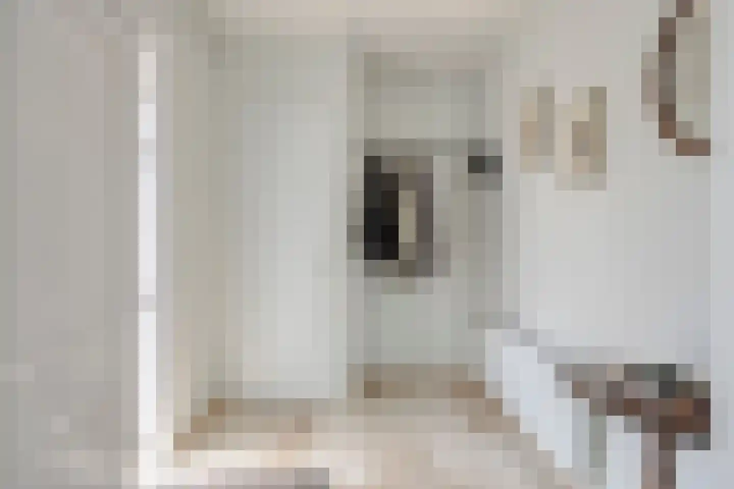 Kometenlaan 13 Bergen op Zoom thumbnail 6