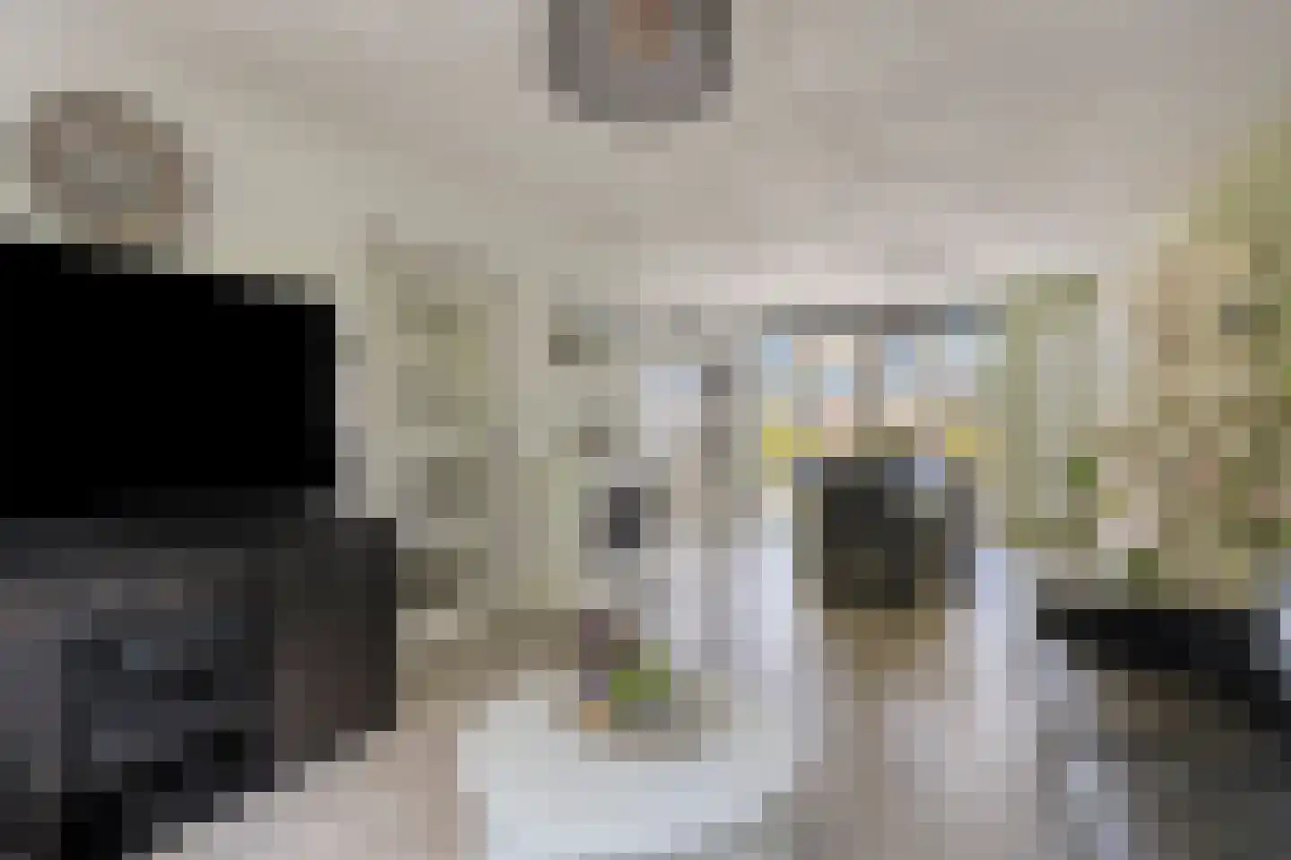 Kometenlaan 142 Bilthoven thumbnail 11