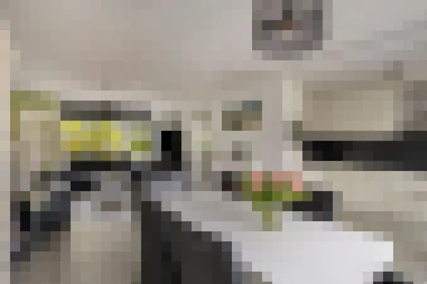 Kometenlaan 142 Bilthoven thumbnail 13
