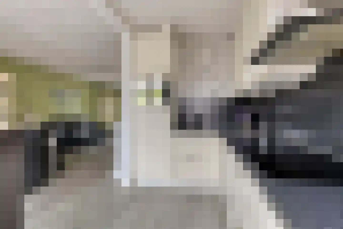 Kometenlaan 142 Bilthoven thumbnail 15