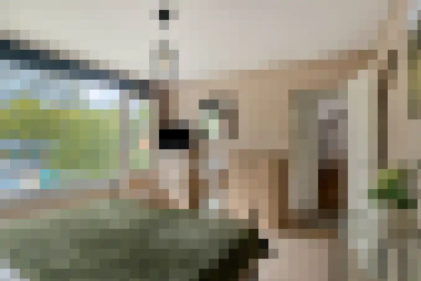 Kometenlaan 142 Bilthoven thumbnail 24