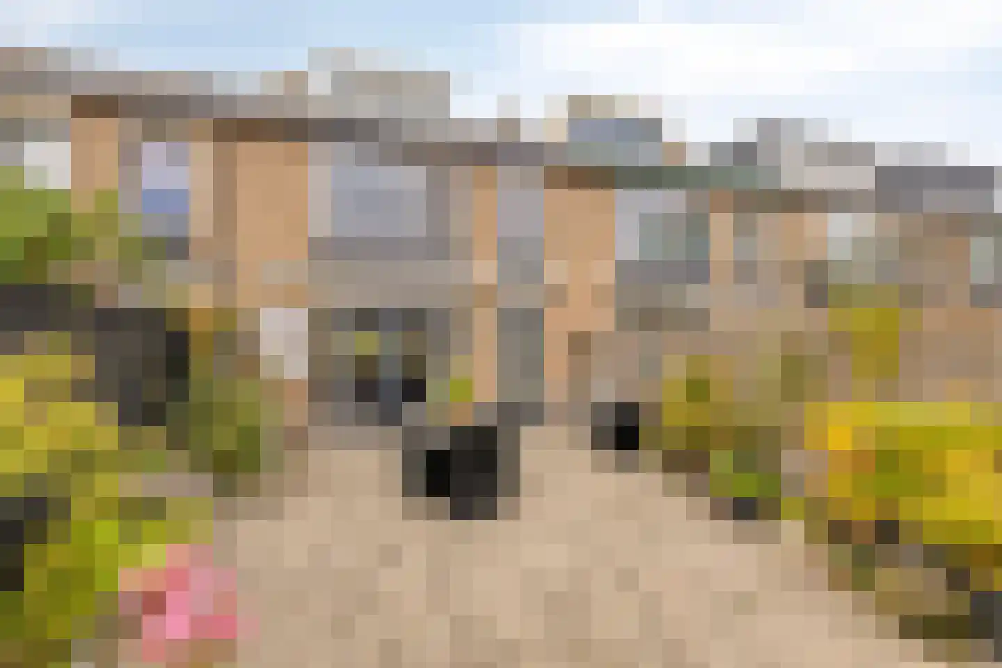 Kometenlaan 142 Bilthoven thumbnail 33