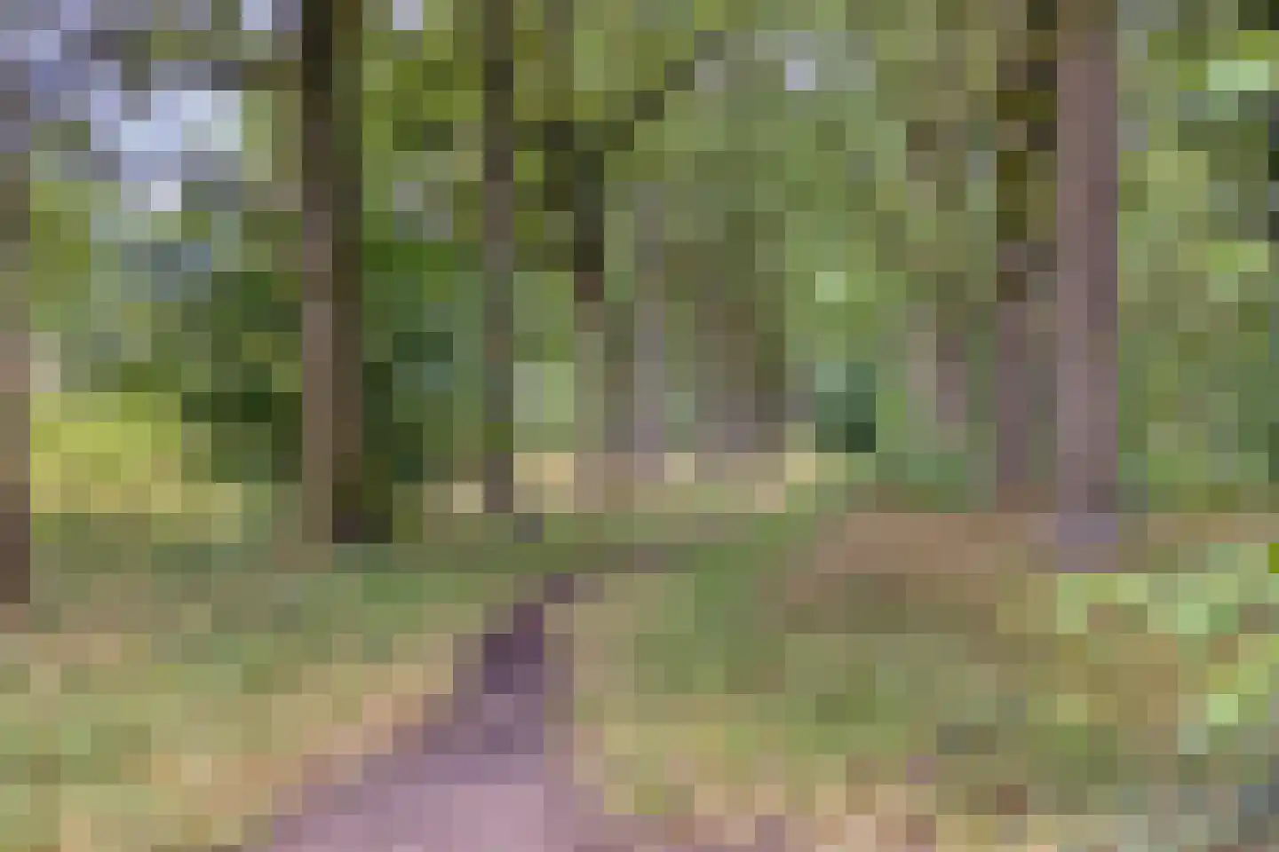 Kometenlaan 142 Bilthoven thumbnail 35