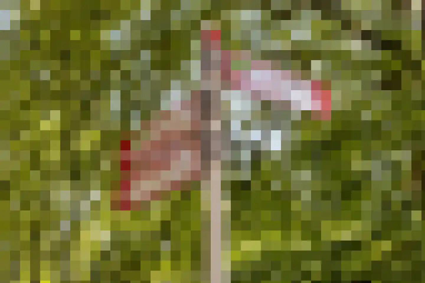 Kometenlaan 142 Bilthoven thumbnail 36