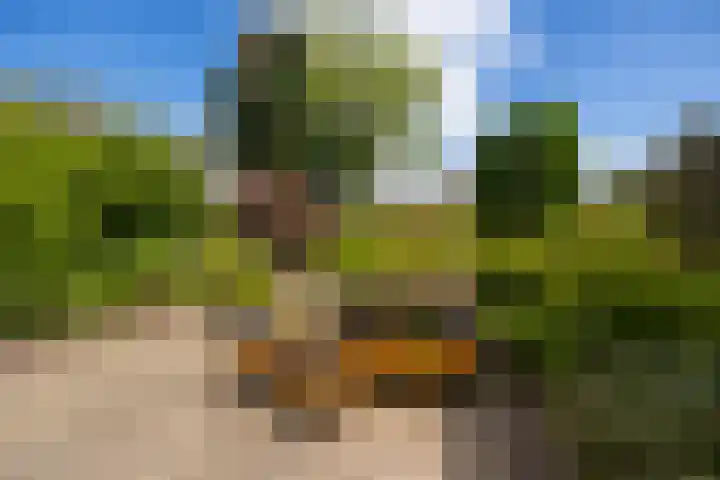 Kometenlaan 148 Bilthoven thumbnail 12