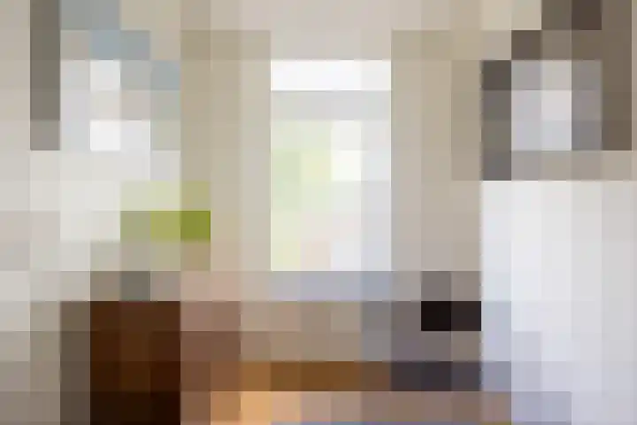Kometenlaan 148 Bilthoven thumbnail 24