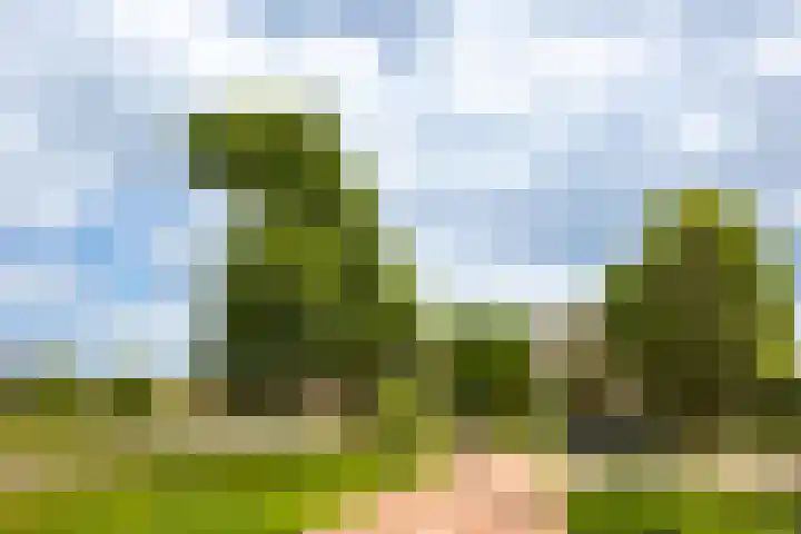 Kometenlaan 148 Bilthoven thumbnail 33
