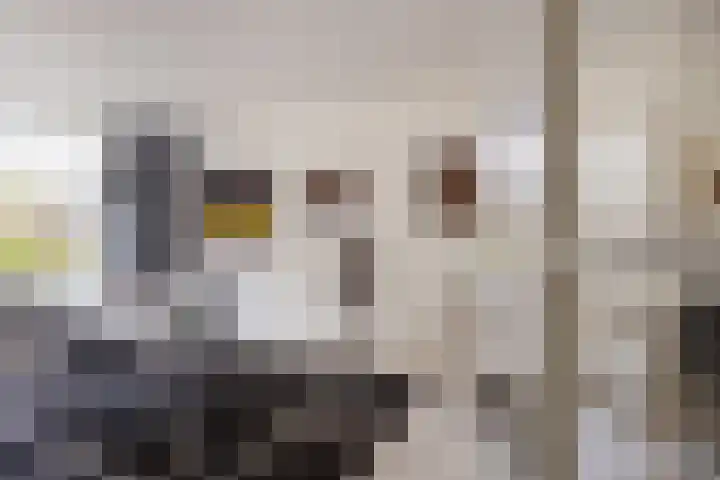 Kometenlaan 148 Bilthoven thumbnail 4