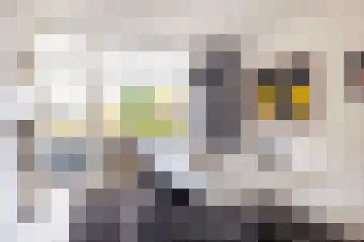 Kometenlaan 148 Bilthoven thumbnail 5