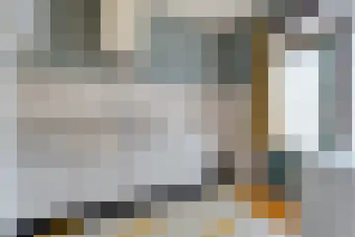 Kometenlaan 16 Hardenberg thumbnail 10