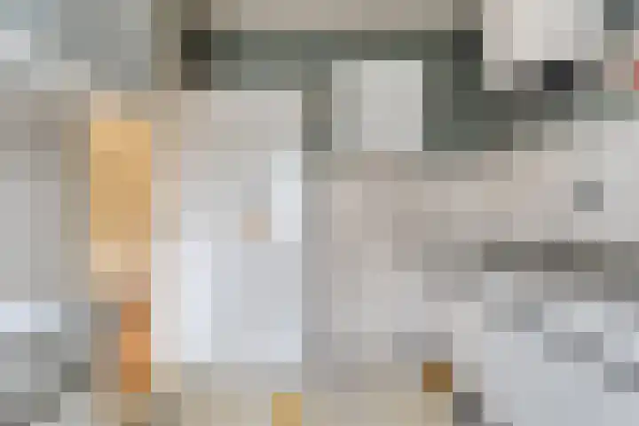 Kometenlaan 16 Hardenberg thumbnail 11