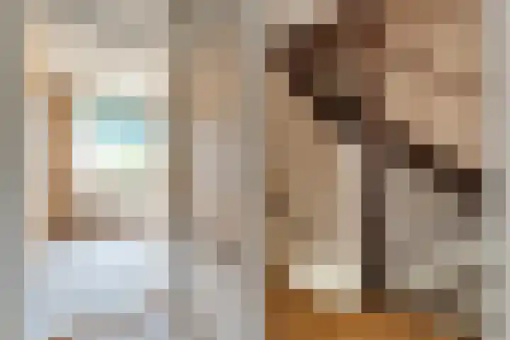 Kometenlaan 16 Hardenberg thumbnail 13