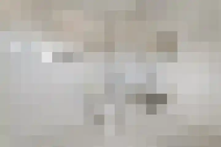 Kometenlaan 16 Hardenberg thumbnail 19