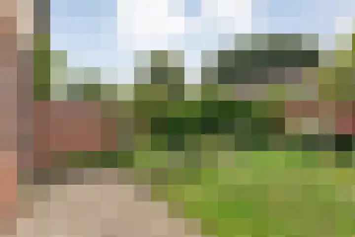Kometenlaan 16 Hardenberg thumbnail 31