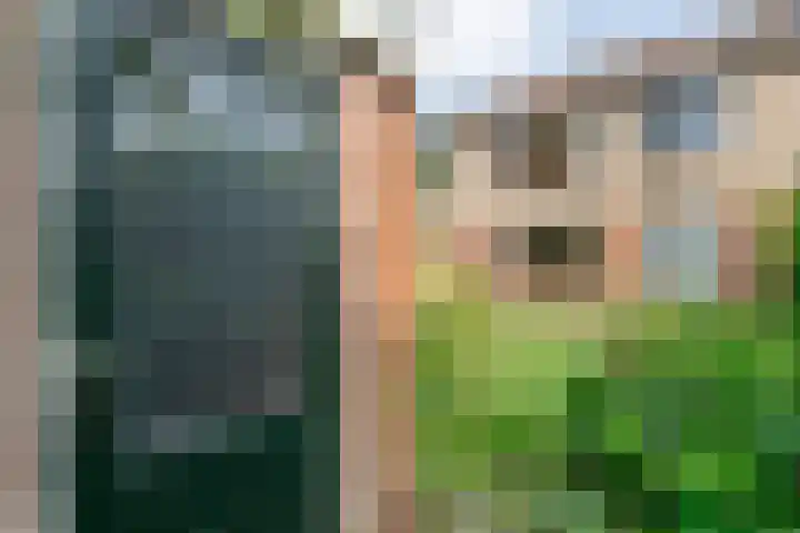 Kometenlaan 16 Hardenberg thumbnail 34
