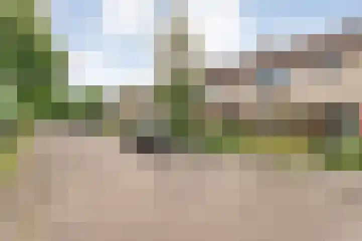 Kometenlaan 16 Hardenberg thumbnail 38