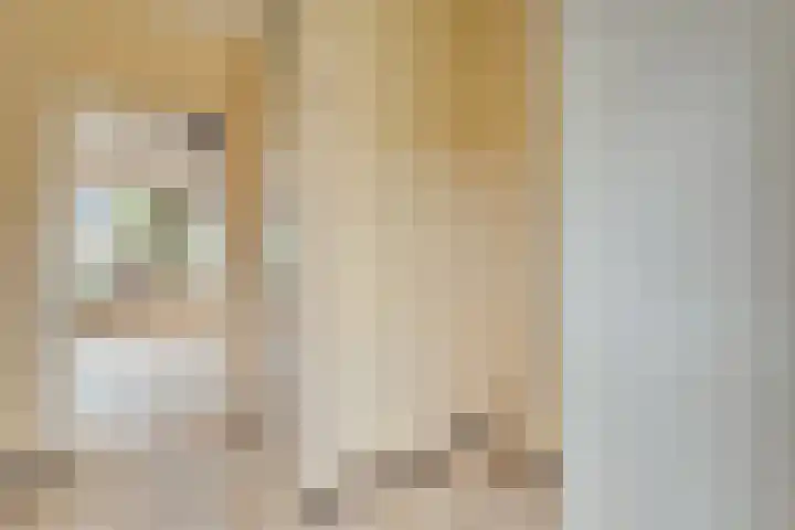 Kometenlaan 16 Hardenberg thumbnail 4