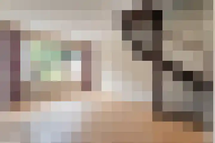 Kometenlaan 16 Hardenberg thumbnail 7