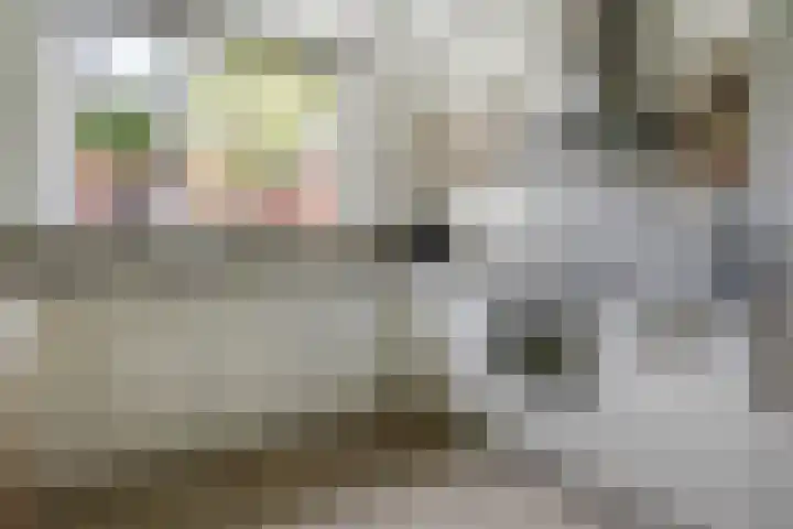 Kometenlaan 16 Huis ter Heide thumbnail 11