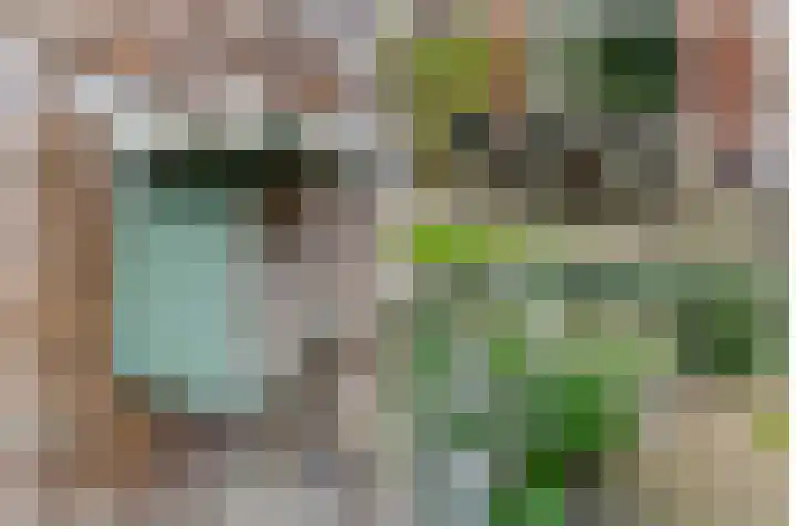 Kometenlaan 16 Huis ter Heide thumbnail 28