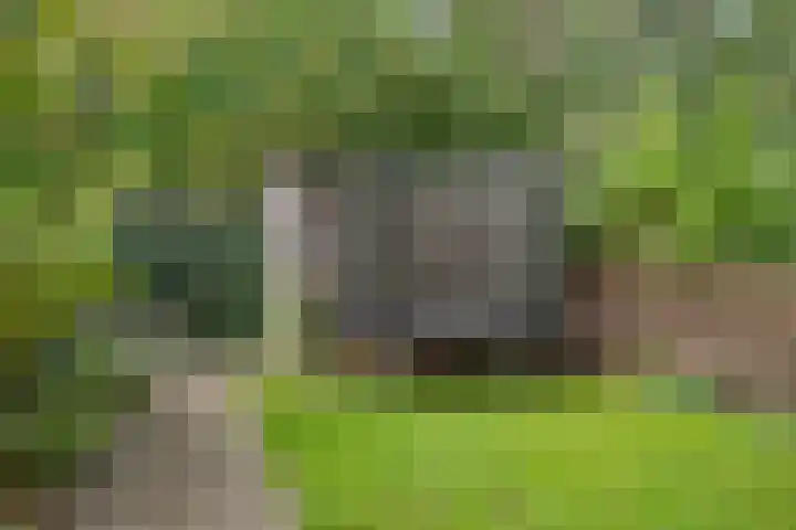 Kometenlaan 16 Huis ter Heide thumbnail 29