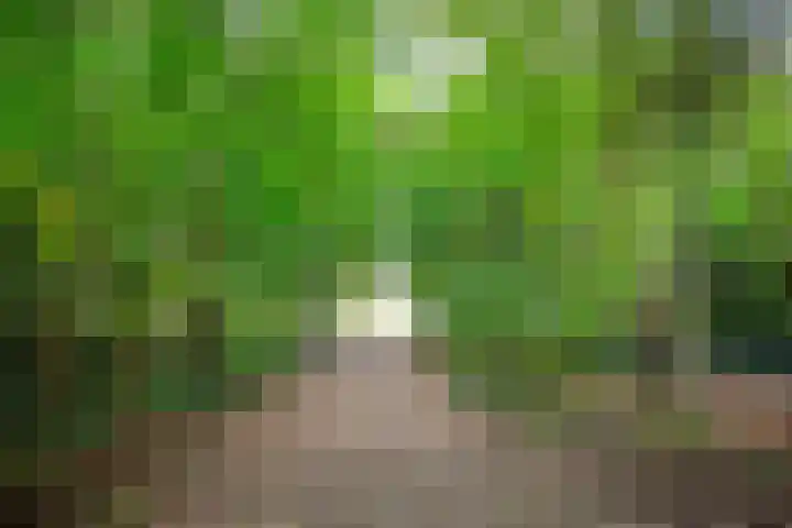 Kometenlaan 16 Huis ter Heide thumbnail 33