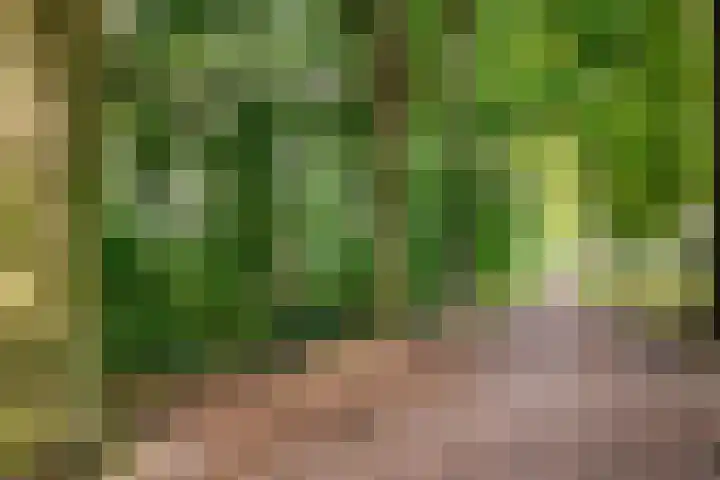 Kometenlaan 16 Huis ter Heide thumbnail 34