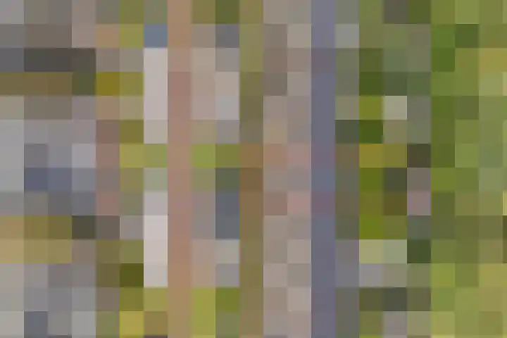 Kometenlaan 16 Huis ter Heide thumbnail 35