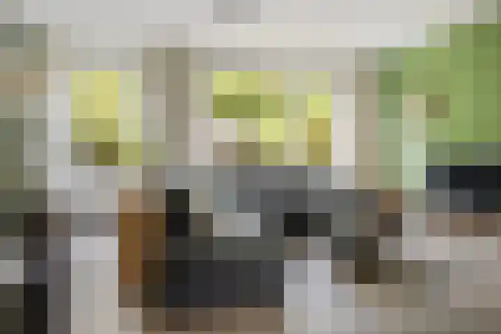 Kometenlaan 16 Huis ter Heide thumbnail 4