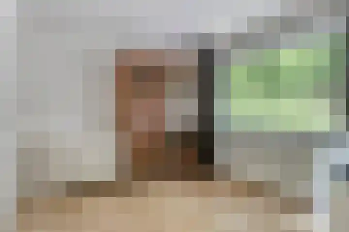 Kometenlaan 17 Veldhoven thumbnail 18