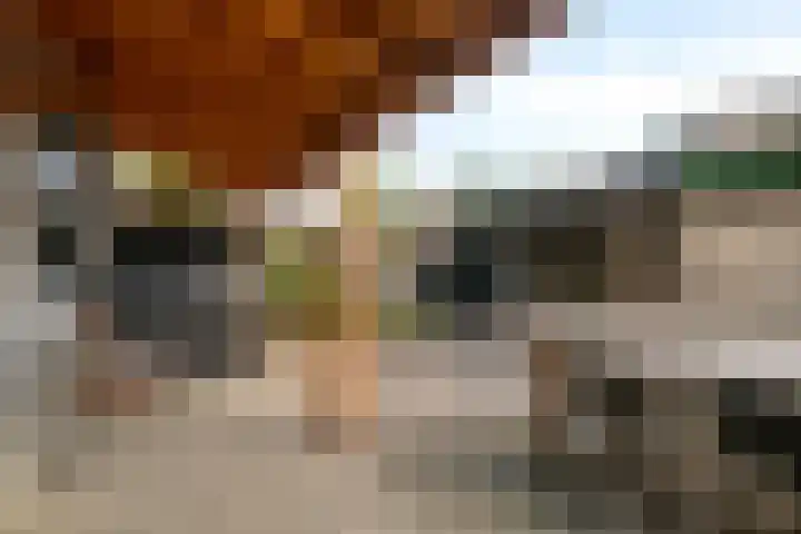 Kometenlaan 17 Veldhoven thumbnail 27