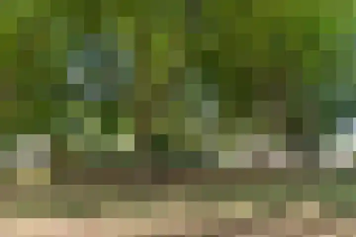 Kometenlaan 17 Veldhoven thumbnail 30