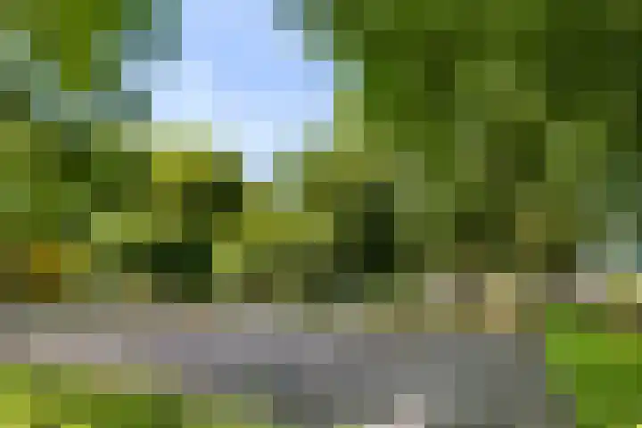 Kometenlaan 17 Veldhoven thumbnail 31