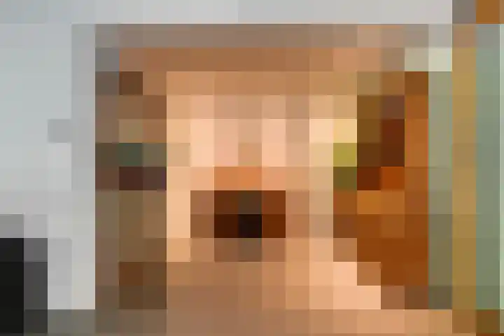 Kometenlaan 17 Veldhoven thumbnail 6