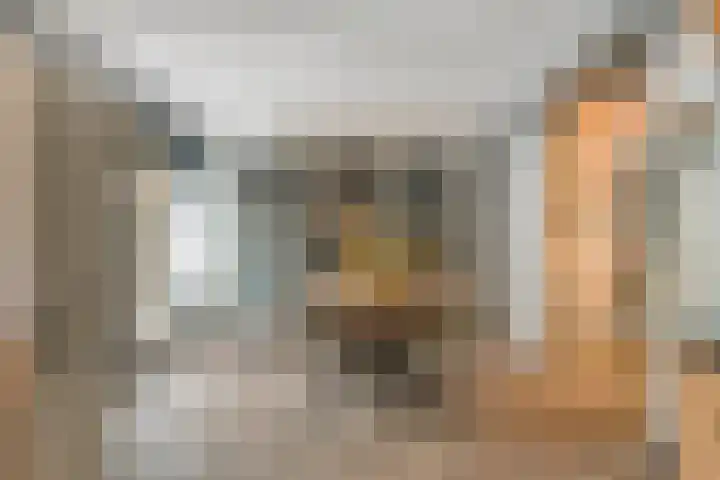 Kometenlaan 17 Veldhoven thumbnail 7