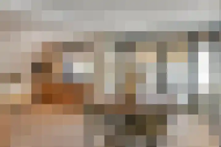 Kometenlaan 17 Veldhoven thumbnail 8