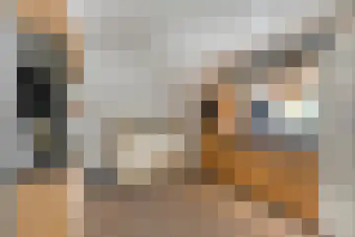Kometenlaan 17 Veldhoven thumbnail 9