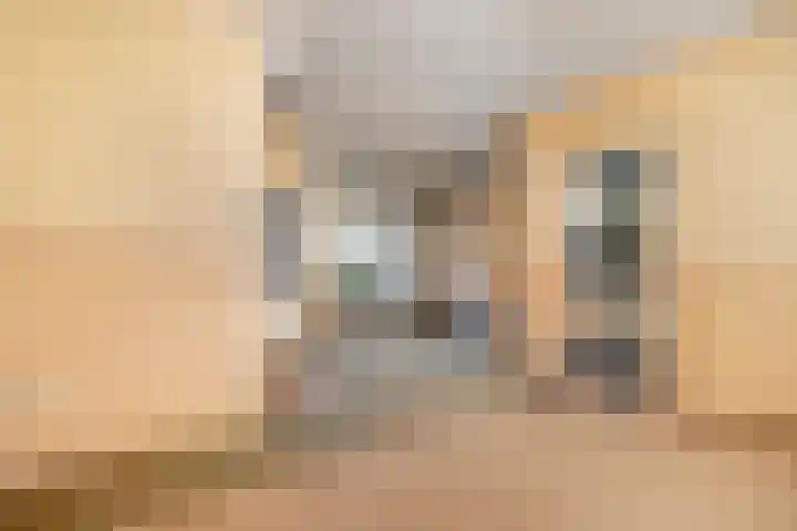 Kometenlaan 2 Hardenberg thumbnail 11