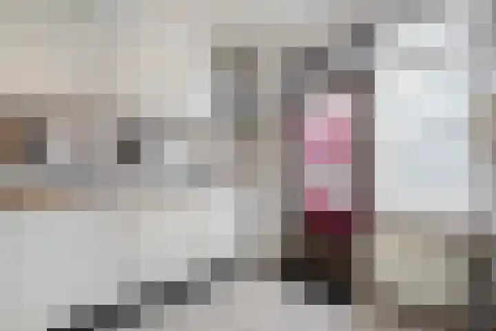 Kometenlaan 2 Hardenberg thumbnail 13