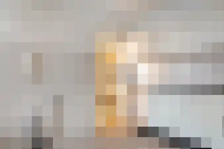 Kometenlaan 2 Hardenberg thumbnail 14