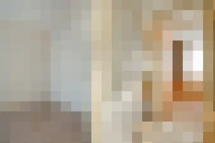 Kometenlaan 2 Hardenberg thumbnail 16