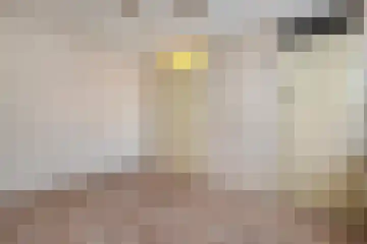 Kometenlaan 2 Hardenberg thumbnail 23