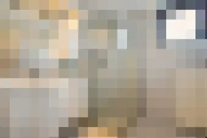 Kometenlaan 2 Hardenberg thumbnail 24