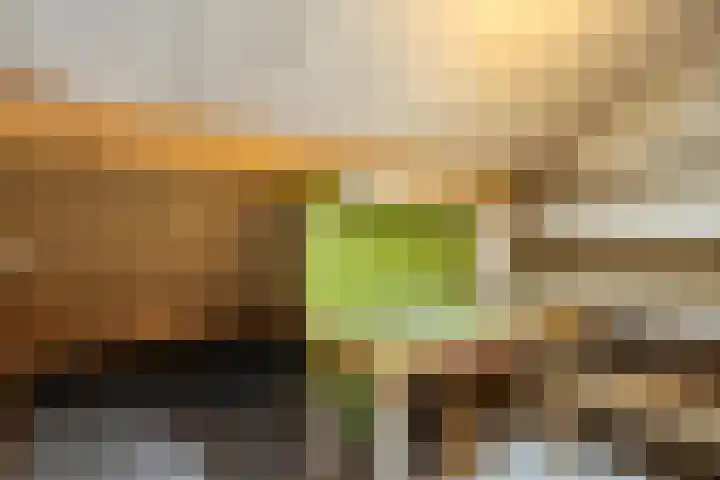 Kometenlaan 2 Hardenberg thumbnail 29