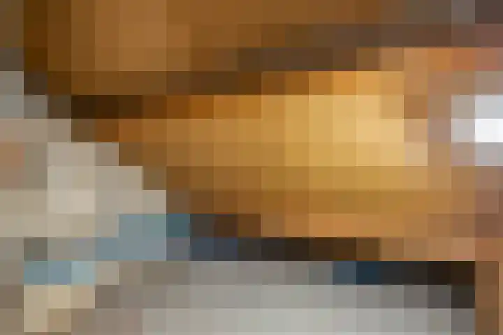 Kometenlaan 2 Hardenberg thumbnail 30