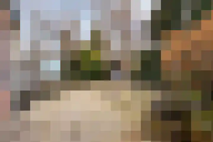 Kometenlaan 2 Hardenberg thumbnail 31