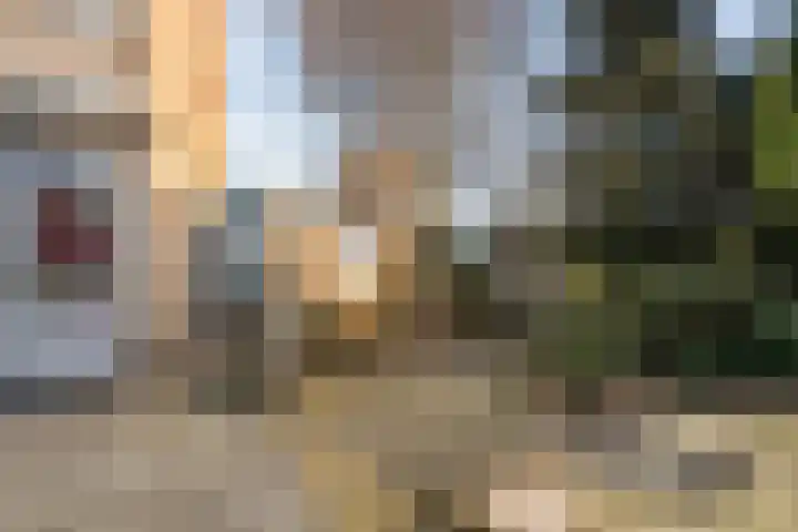 Kometenlaan 2 Hardenberg thumbnail 32