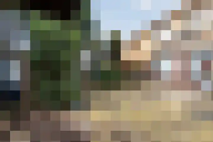Kometenlaan 2 Hardenberg thumbnail 33