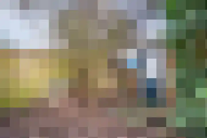 Kometenlaan 2 Hardenberg thumbnail 34